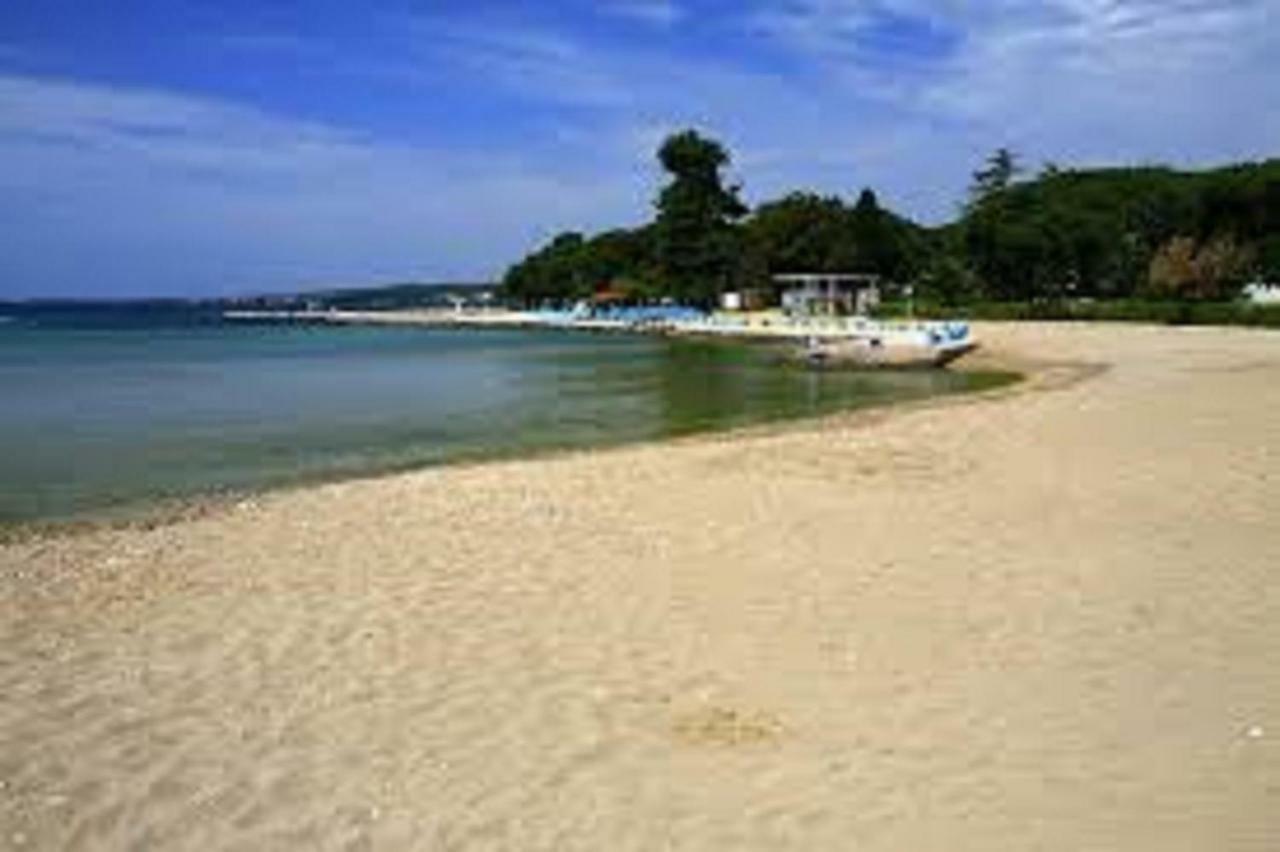 Vesna Zadar
