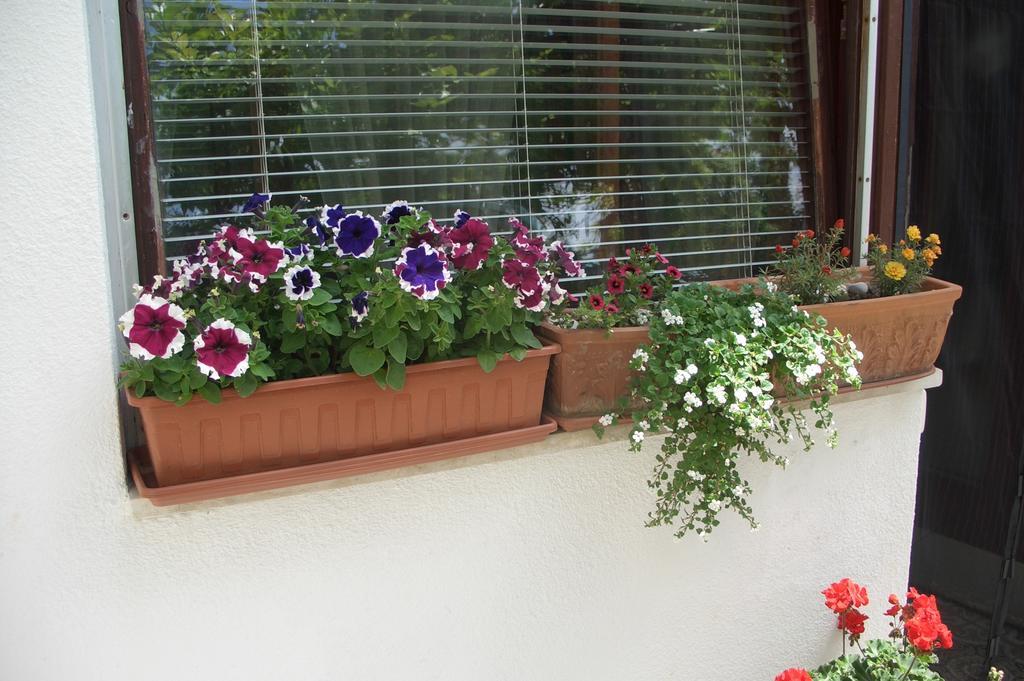 Apartmán Vesna Zadar