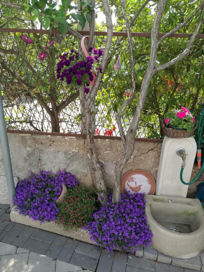 Apartment Vesna Zadar